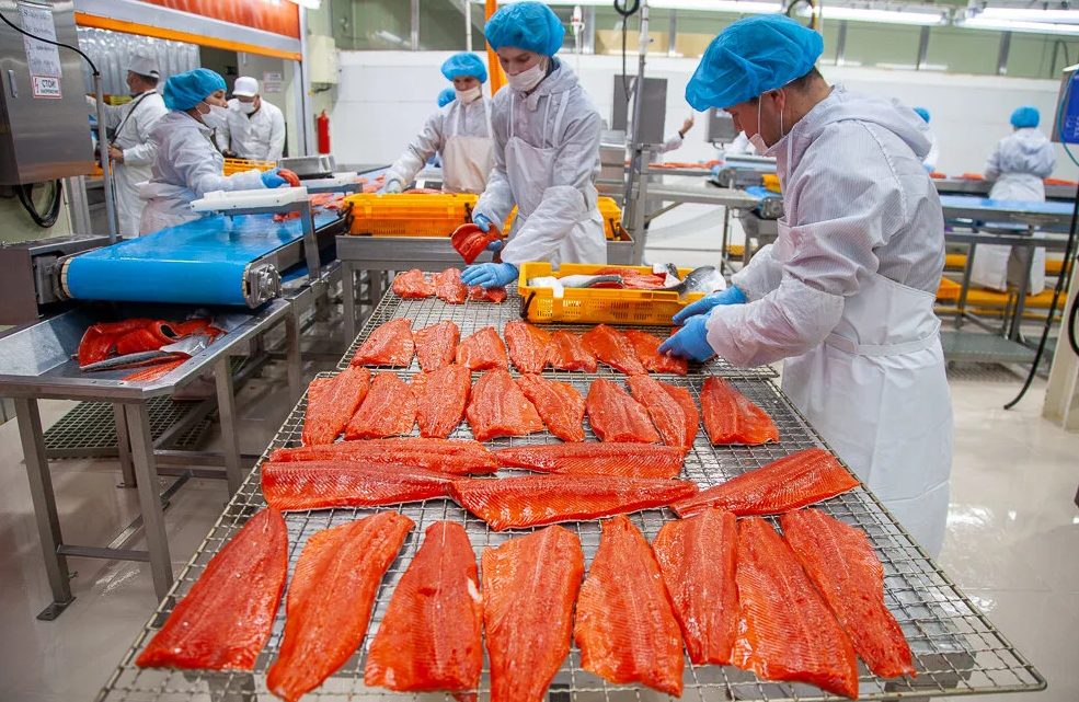 Переработку морепродуктов организуют в Подмосковье
