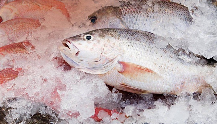 Влияние заморозки на вес рыбы и ее пищевую ценность
