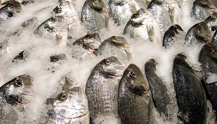 Влияние заморозки на вес и пищевую ценность рыбы - Морские легенды